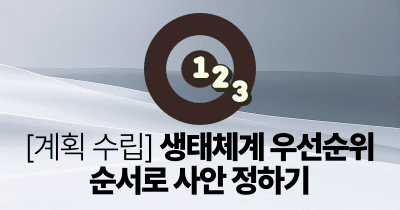 계획 수립: 생태체계 우선순위 순서로 사안 정하기