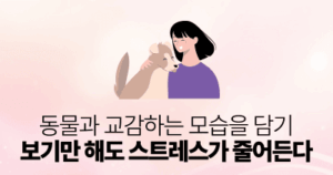 동물과 교감하는 모습을 담기: 보기만 해도 스트레스가 줄어든다