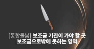 [통합돌봄] 보조금 기관이 가야 할 곳: 보조금으로밖에 못하는 영역