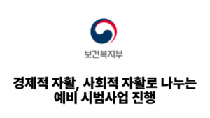 2026 보건복지부: 경제적 자활, 사회적 자활로 나누는 예비 시범사업 진행
